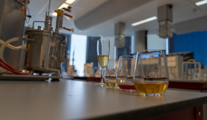 AB InBev and KU Leuven introduce brewing degree
