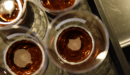 What's the Deal with IPAs, Anyway?