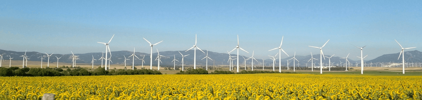 Championing Low Carbon Technology
