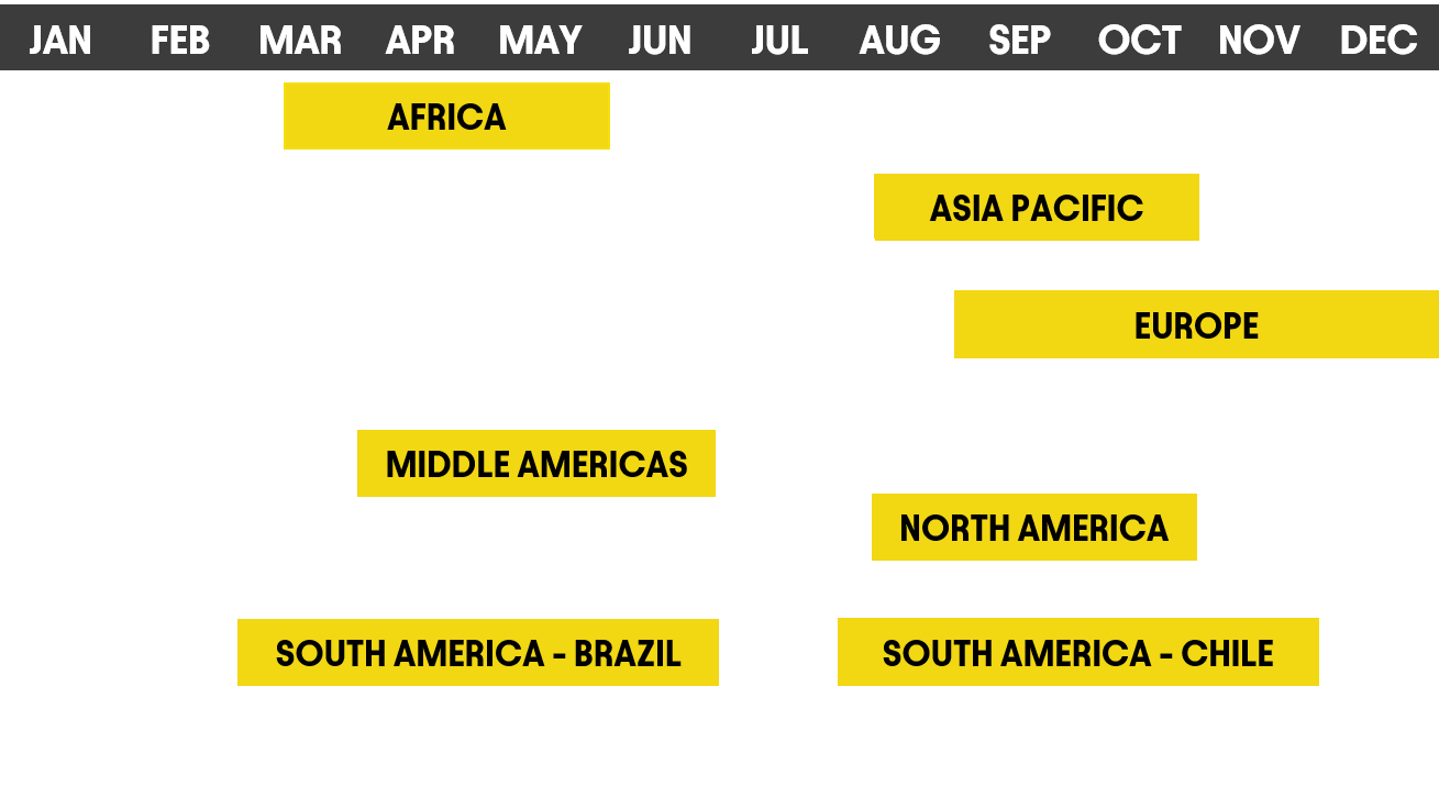 GMT Apply Timeline