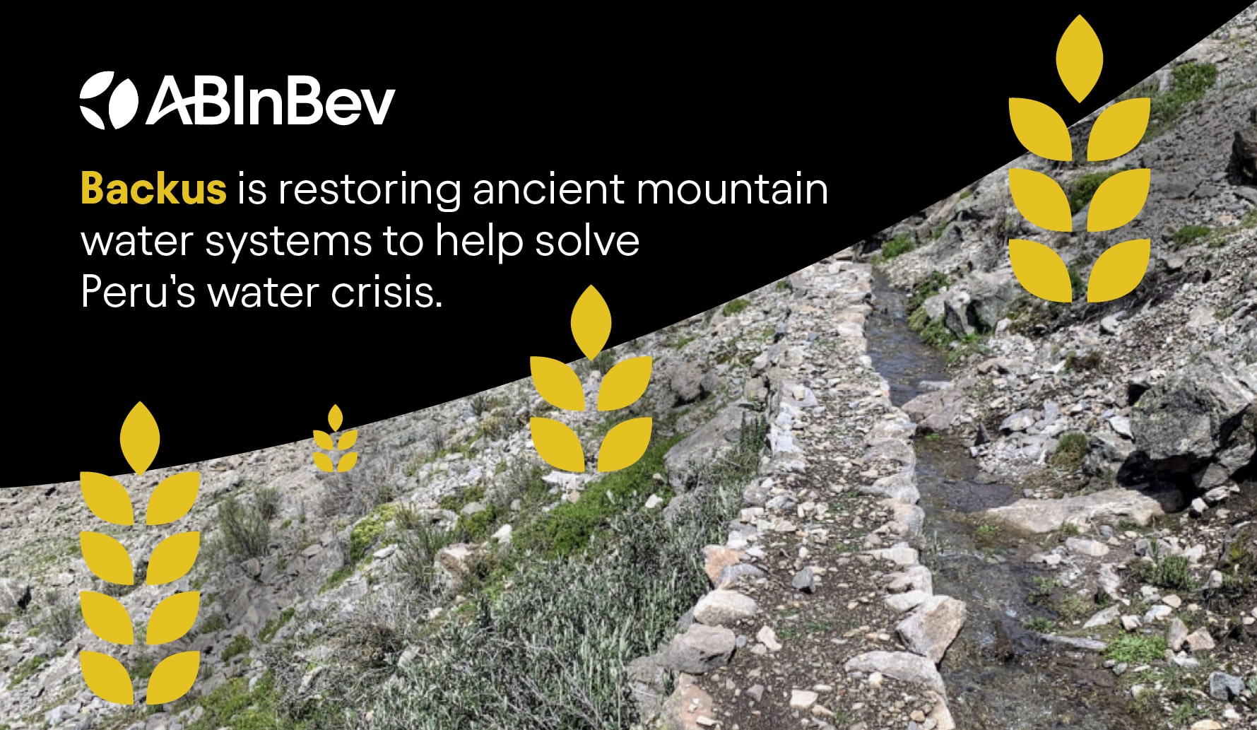 Local brewer Backus and partners restoring ancient mountain water systems to help solve Peru’s water crisis