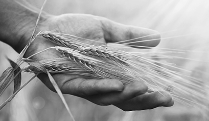 Anheuser-Busch InBev 2021 Environmental, Social and Governance (ESG) Report