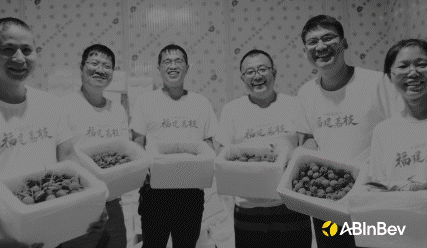 Inside the ‘fruitful’ collaboration between lychee farmers and Budweiser APAC