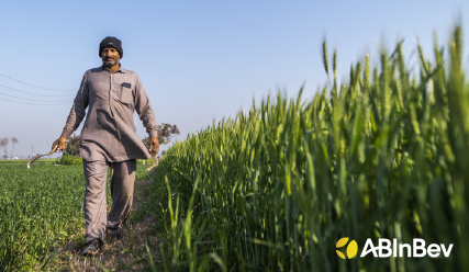 How AB InBev is brewing economic growth in emerging markets