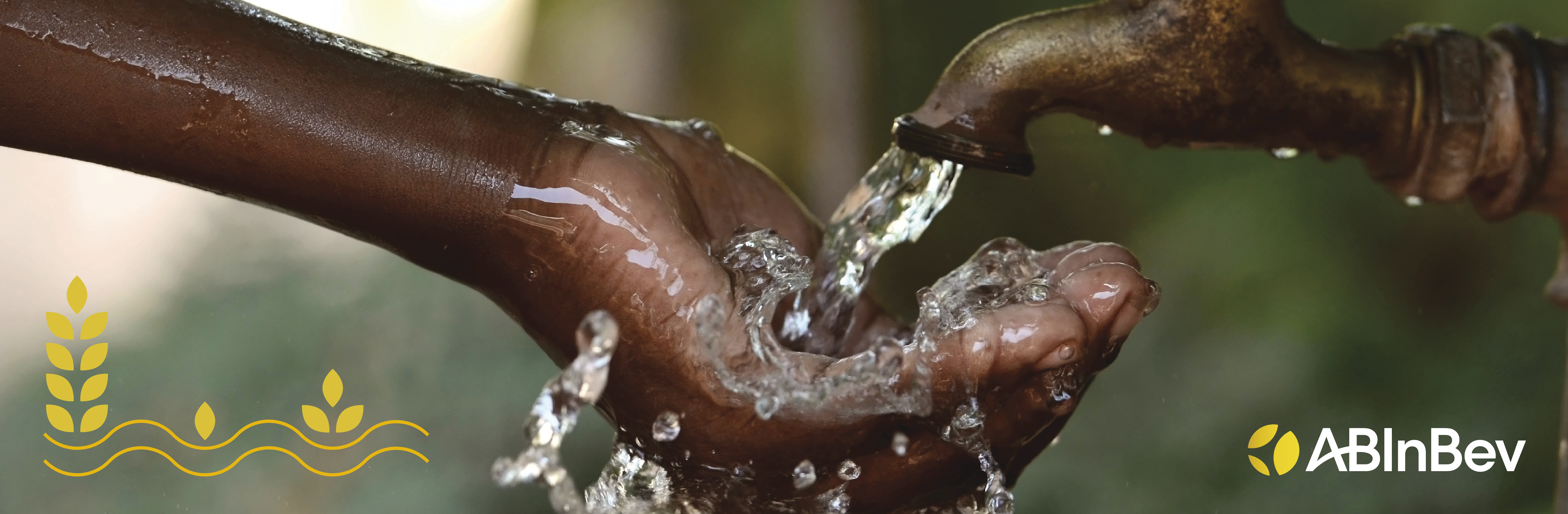 5 ways AB InBev is helping address global water challenges