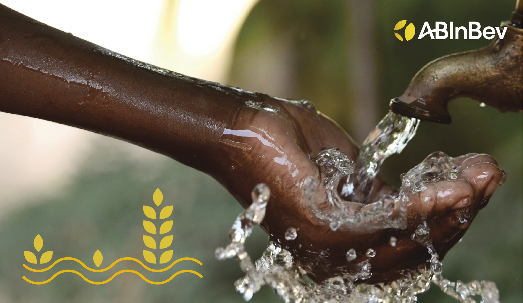5 ways AB InBev is helping address global water challenges
